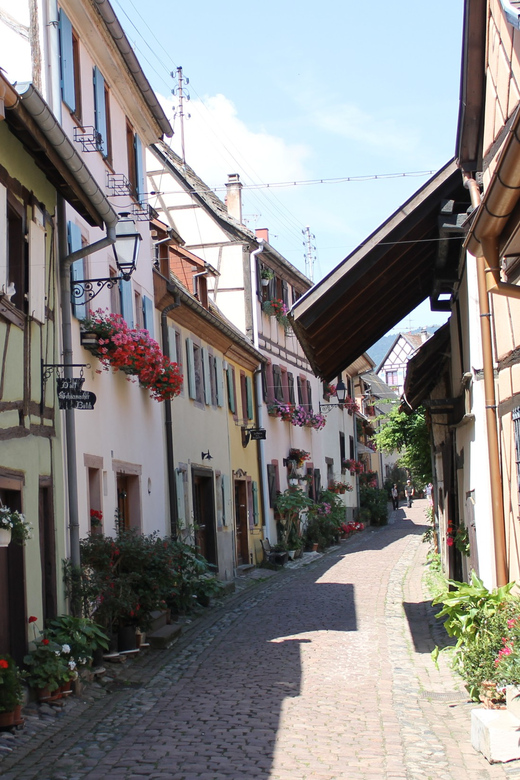 From Strasbourg: Half-Day Tour of Alsace Villages - Andlau’s Romanesque church and guided walk
