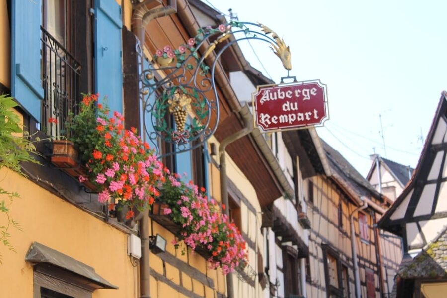 From Strasbourg: Half-Day Tour of Alsace Villages - What the guide adds to the morning