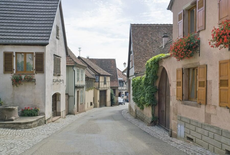 From Strasbourg: Half-Day Tour of Alsace Villages - Who should book this Alsace village tour?