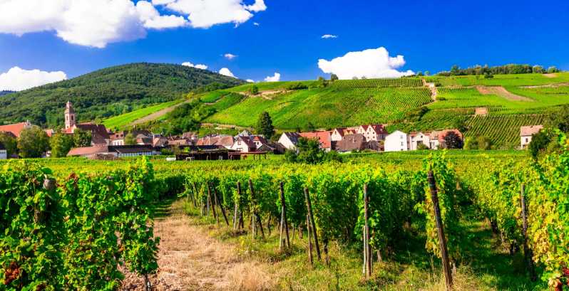 From Strasbourg: Half-Day Tour of Alsace Villages - Barr, wine, and the first 45 minutes