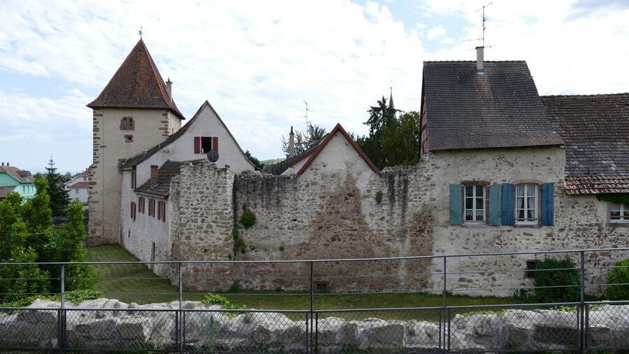 From Strasbourg: Medieval Villages & Wine Tasting Day Trip - Is $147 a fair price?