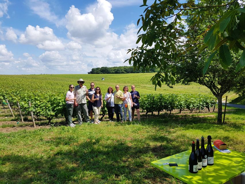 From Tours: Afternoon Loire Valley Wine Tour - From Tours to the vineyards around Vouvray