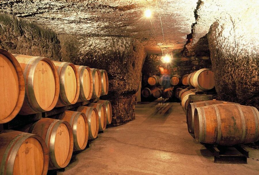 From Tours: Loire Valley Wineries Day Trip with Tastings - Key points at a glance