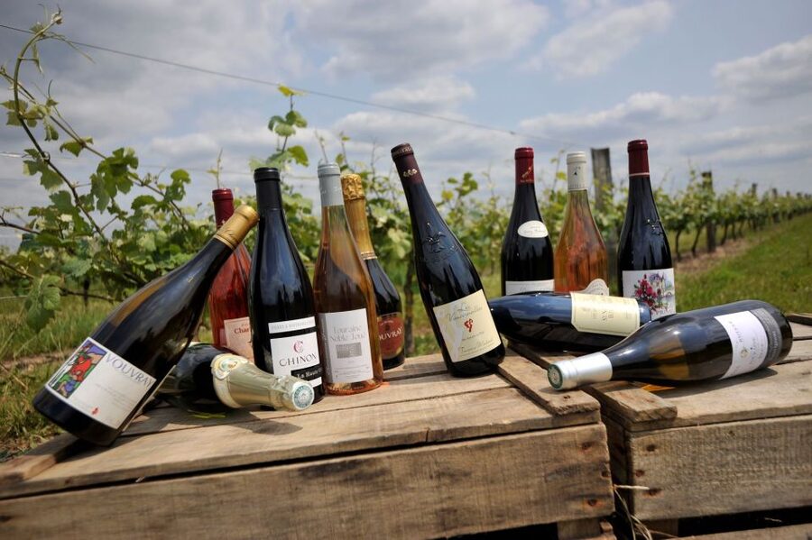 From Tours: Loire Valley Wineries Day Trip with Tastings - Practical timing for your eight hours