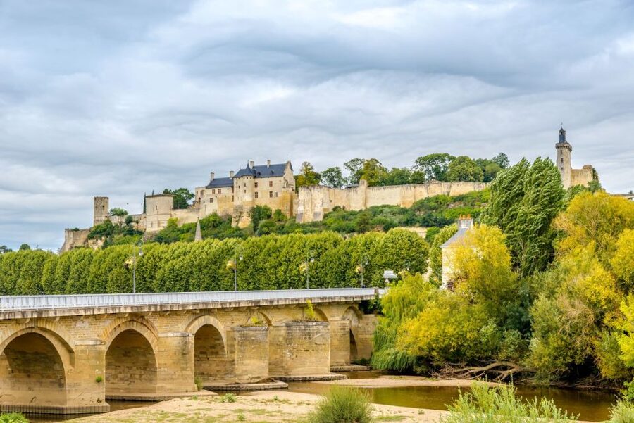 From Tours: Loire Valley Wineries Day Trip with Tastings - Chinon’s medieval streets and lunch break