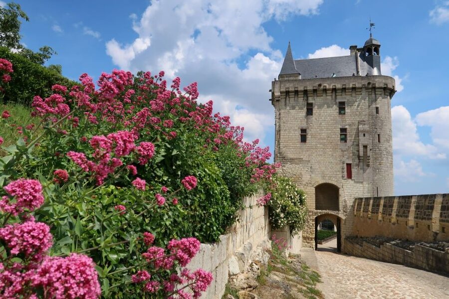 From Tours: Loire Valley Wineries Day Trip with Tastings - What Ilia adds to the day