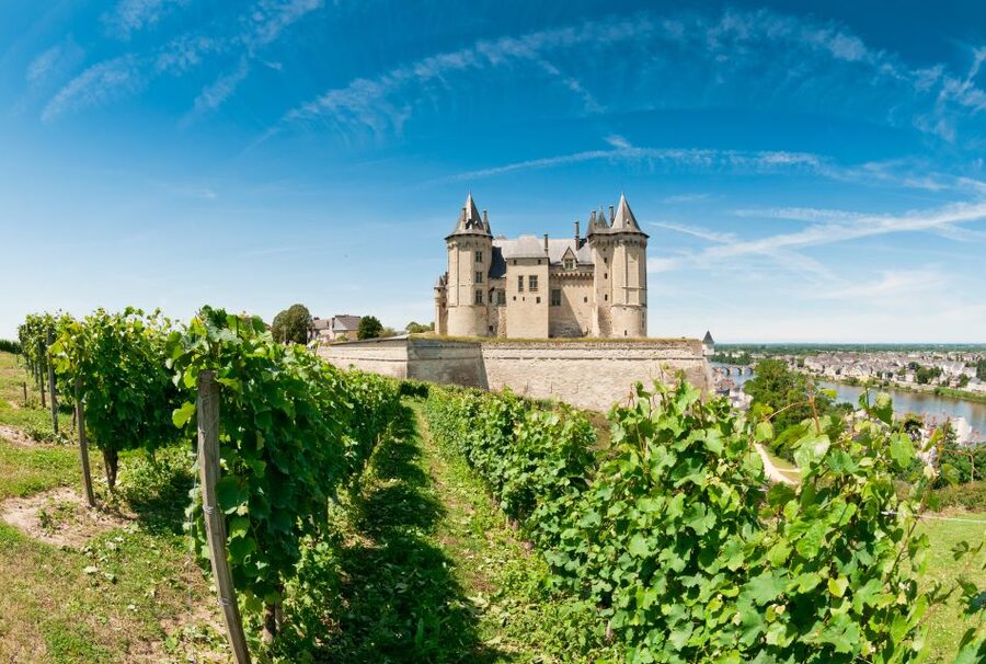 From Tours: Loire Valley Wineries Day Trip with Tastings - Is $182 a fair price?
