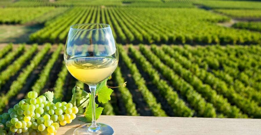 From Tours: Loire Valley Wineries Day Trip with Tastings - Who should book this day trip?