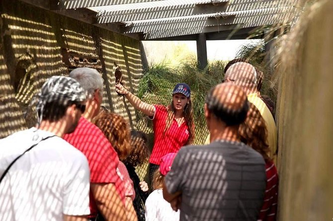 Full-Day Canadian Battlefields & sites Normandy Tour from Bayeux - The Juno Beach Centre and German bunkers