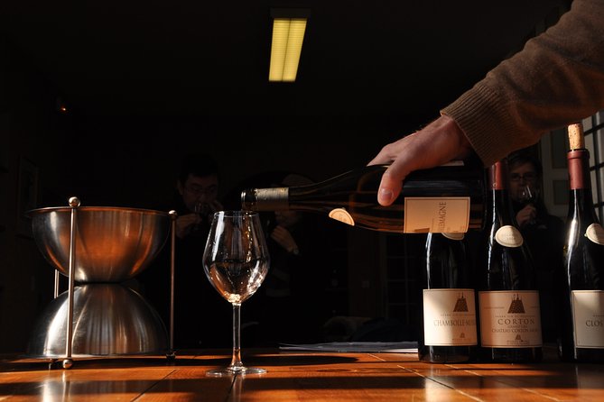 Full Day Private Tour 10 Premiers & Grands Crus, The Best of Burgundy - Following the Grands Crus Wine Road from Beaune