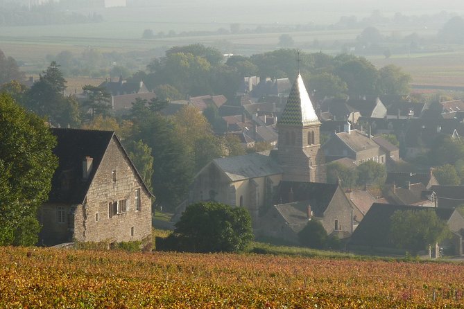 Full Day Private Tour 10 Premiers & Grands Crus, The Best of Burgundy - A three-course lunch paired with Grand Cru wine