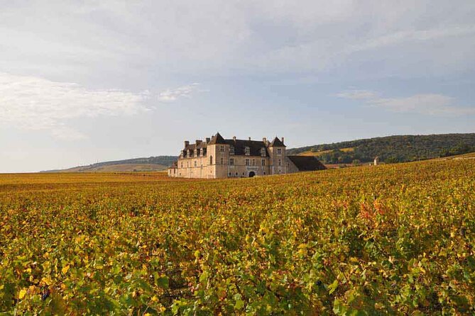 Full Day Private Tour 10 Premiers & Grands Crus, The Best of Burgundy - Afternoon among the Côte de Nuits appellations