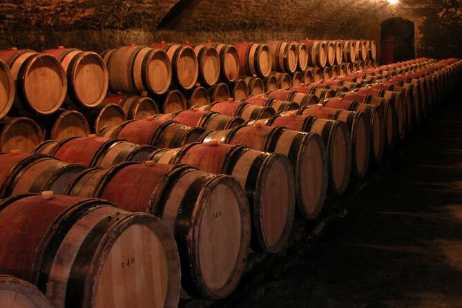 Full Day Private Tour 10 Premiers & Grands Crus, The Best of Burgundy - The final tasting in a private vaulted cellar