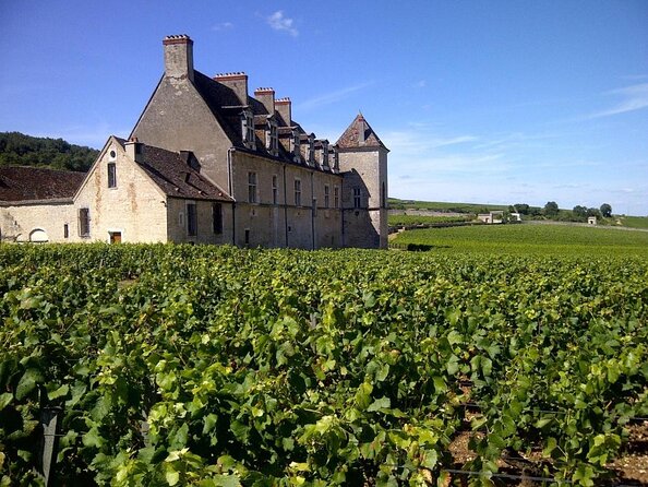 Full-Day Private Tour, 6 Premiers & Grands Crus, The Best of Burgundy - The first estate tasting in the Côte de Beaune