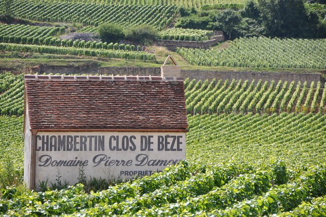 Full-Day Private Tour, 6 Premiers & Grands Crus, The Best of Burgundy - Cellars, aging, and the reason Burgundy costs so much