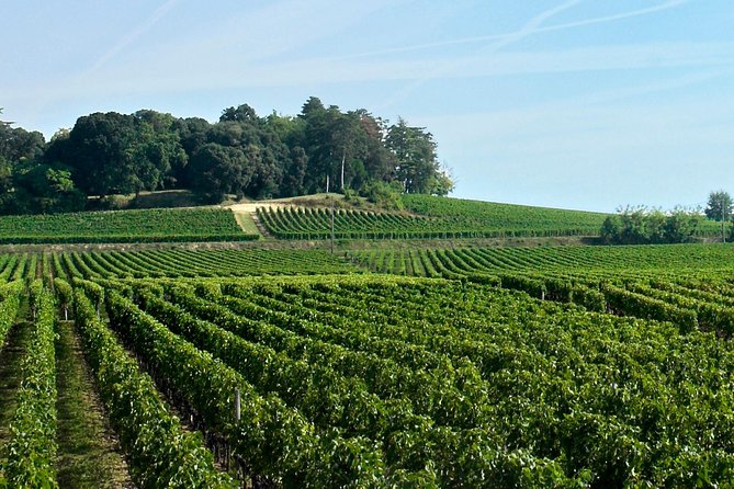 Full-day Saint-Emilion: Village, Undergrounds and Châteaux - The lunch question: value, timing, and food choices