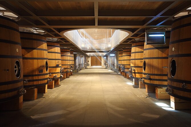 Full Day Tour Saint Emilion with lunch two Chateaux and Village - Meeting at Place des Quinconces at 10:00