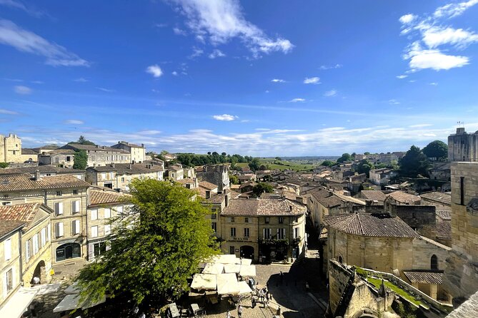 Full Day Tour Saint Emilion with lunch two Chateaux and Village - Who Will Enjoy This Saint-Émilion Excursion?