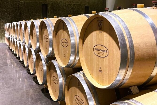 Full Day Tour Saint Emilion with lunch two Chateaux and Village - Picnic Lunch at Château Côte de Baleau
