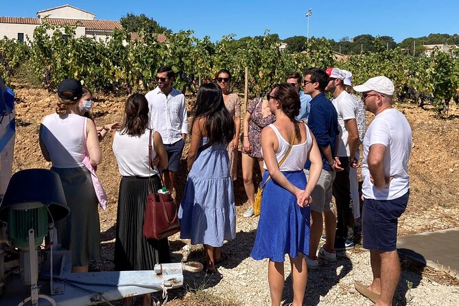 Full-Day Wine and Cheese Tour around Aix-en-Provence from Marseille - The Second Winery and the Limits of the Cheese Theme