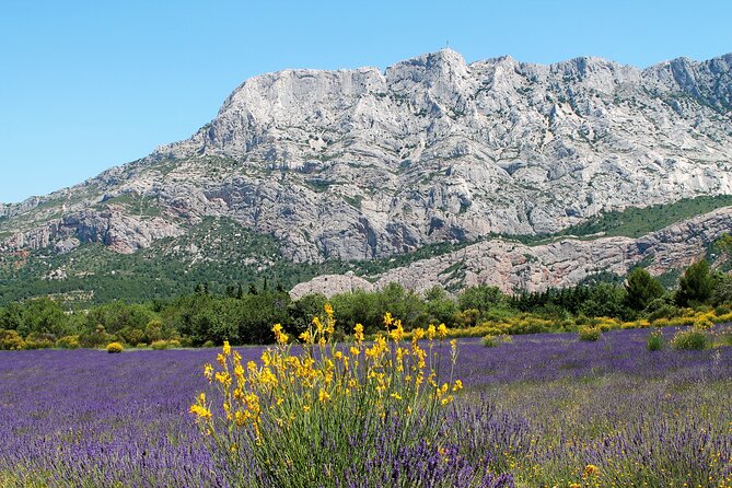 Full-Day Wine and Cheese Tour around Aix-en-Provence from Marseille - Who Will Enjoy This Day Most?