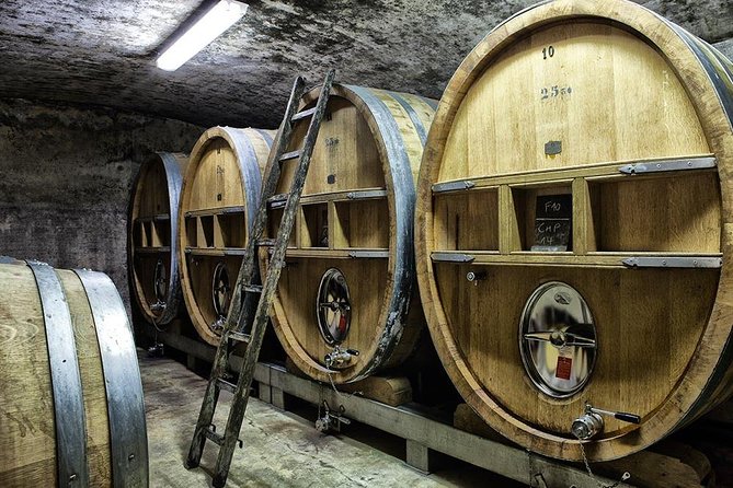 Full-day Wine Tour around Bandol & Cassis from Marseille - Why this Bandol and Cassis route works