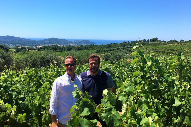 Full-day Wine Tour around Bandol & Cassis from Marseille - A third tasting in Cassis