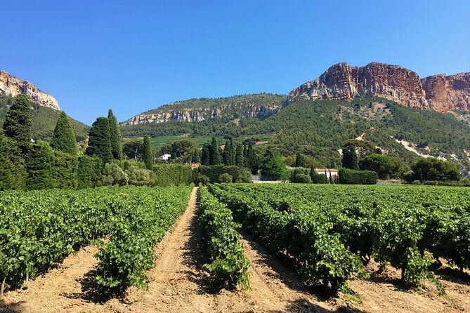 Full-day Wine Tour around Bandol & Cassis from Marseille - Cap Canaille adds the big view