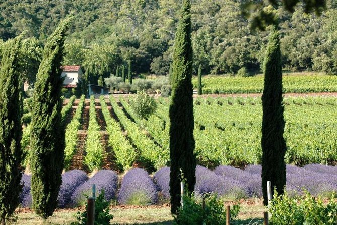 Full-Day Wine Tour around Luberon from Marseille - Key points at a glance