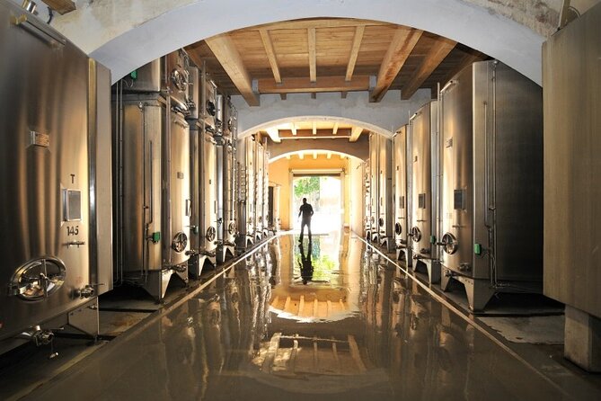 Full-Day Wine Tour around Luberon from Marseille - What the guides add to the day