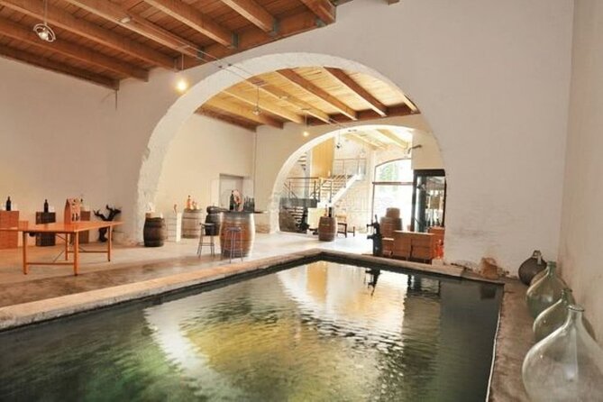 Full-Day Wine Tour around Luberon from Marseille - Two morning wineries with different working styles