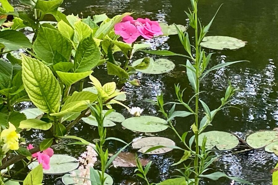 Giverny Versailles Trianon Small Group by Minivan from Paris - Transport, group size, and the value of convenience