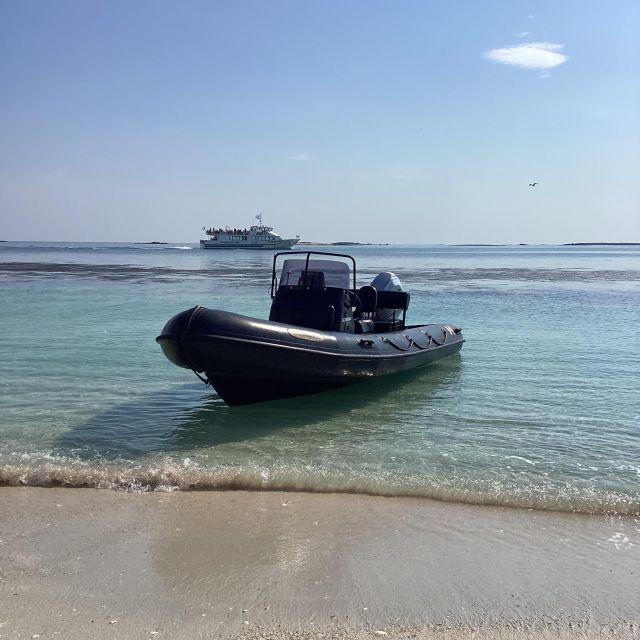 Glénan islands discover, full or half day privatization - Why this Glénan trip feels different from a standard boat outing