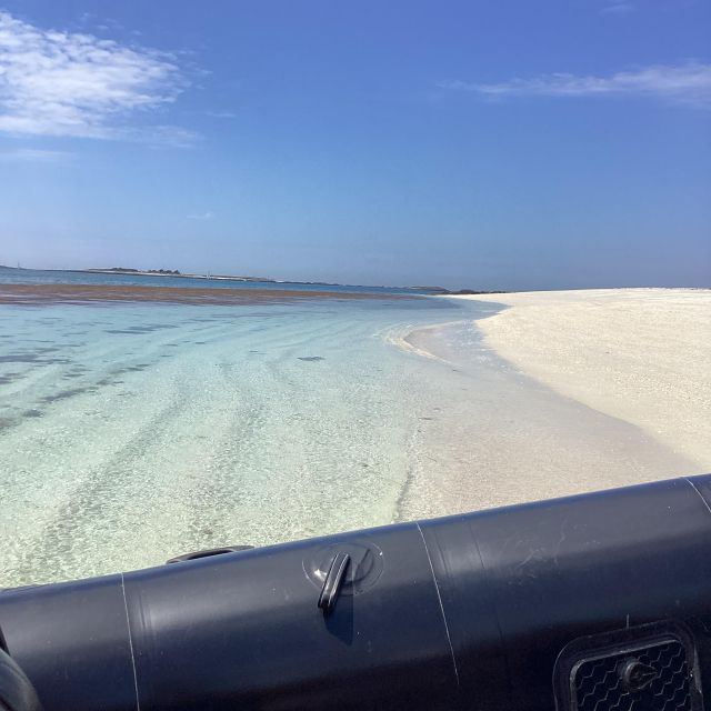 Glénan islands discover, full or half day privatization - Penfret, bird life, and wide island views