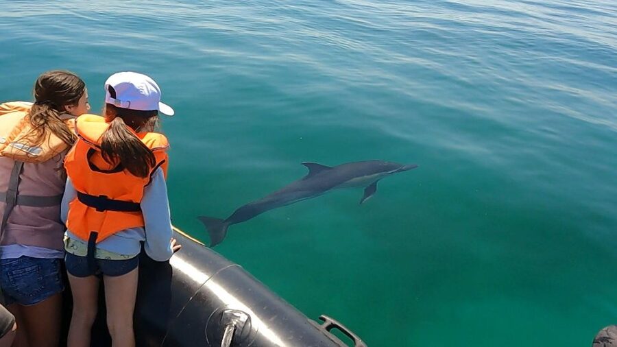 Glénan islands discover, full or half day privatization - Choosing between the four-hour and seven-hour outing