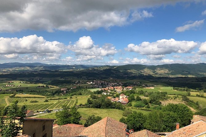 Golden stones Beaujolais Wine Tour with Tastings from Lyon - Weather, group size, and practical details