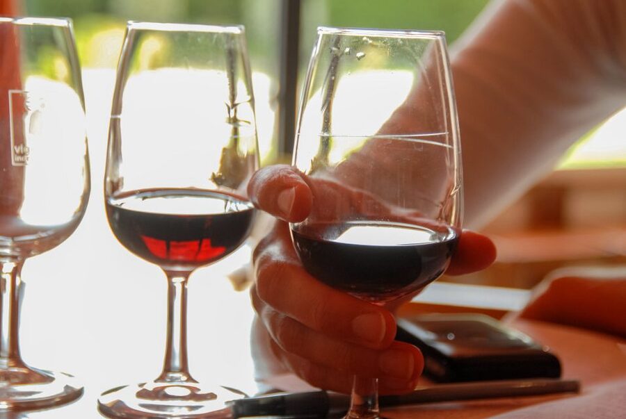 Grasse, Valbonne & Gourdon: Day Tour with Wine Tasting - Should you book it?