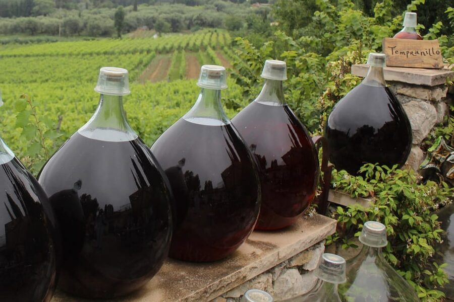 Grasse, Valbonne & Gourdon: Day Tour with Wine Tasting - The long return through the Bellet vineyards