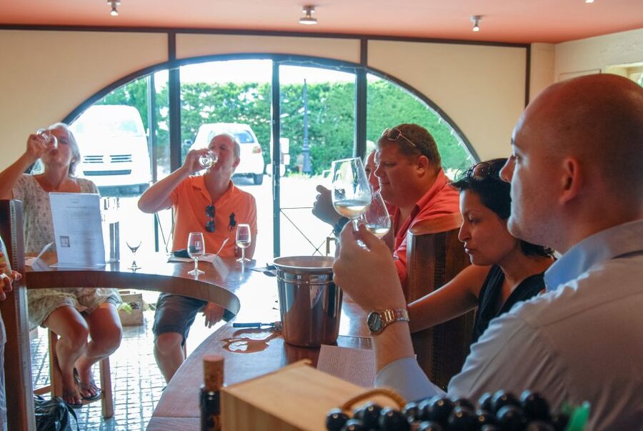 Grasse, Valbonne & Gourdon: Day Tour with Wine Tasting - What the minivan and group size mean