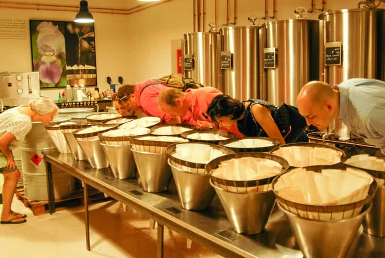 Grasse, Valbonne & Gourdon: Day Tour with Wine Tasting - Grasse and the scent of a working town