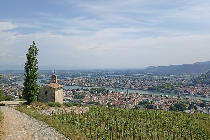 Guided Day Tour and Wine Tasting Northern Rhône Valley - Condrieu: steep vines and hard-earned wine