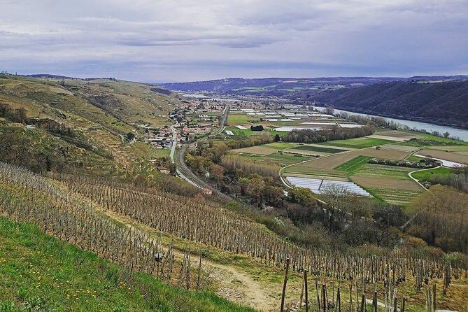 Guided Day Tour and Wine Tasting Northern Rhône Valley - Lunch near Tain-lHermitage