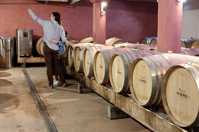 Guided Day Tour and Wine Tasting Northern Rhône Valley - Three estates, three different points of view