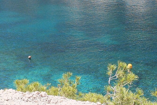 Guided hike in the Calanques National Park - Why this Calanques hike is worth your morning