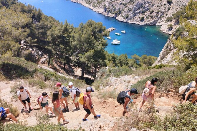 Guided hike in the Calanques National Park - The park through local plants and stories