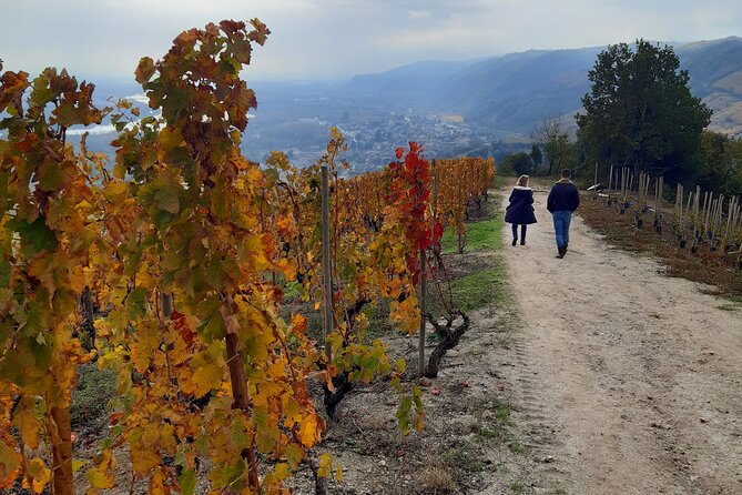 Guided tour and wine tasting Northern Rhône Valley - Key points at a glance