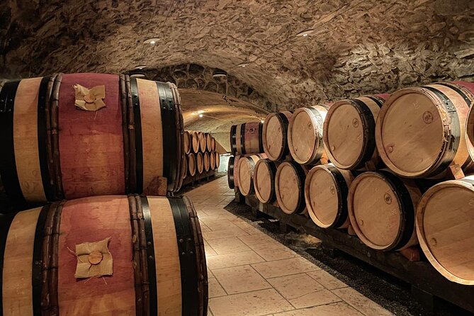 Guided tour and wine tasting Northern Rhône Valley - Why this Northern Rhône trip is worth your morning