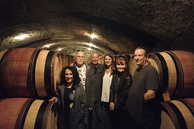 Guided tour and wine tasting Northern Rhône Valley - Ampuis and the second estate