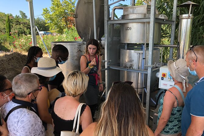 Guided tour Distillery of Lavender between Nîmes & Arles - The shop is part of the experience, not an afterthought