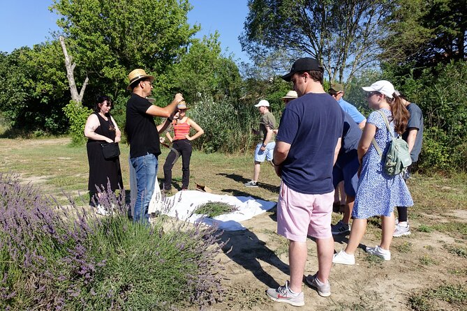 Guided tour Distillery of Lavender between Nîmes & Arles - Why the private format matters
